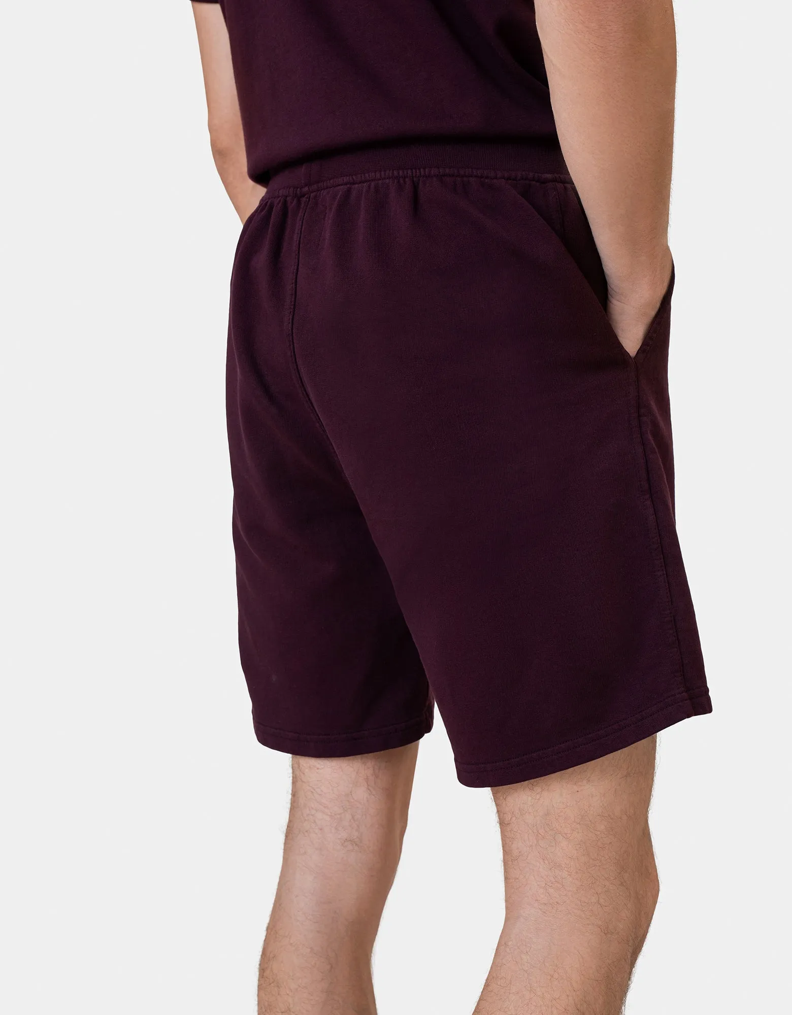 Classic Organic Sweatshorts - Sunny Orange