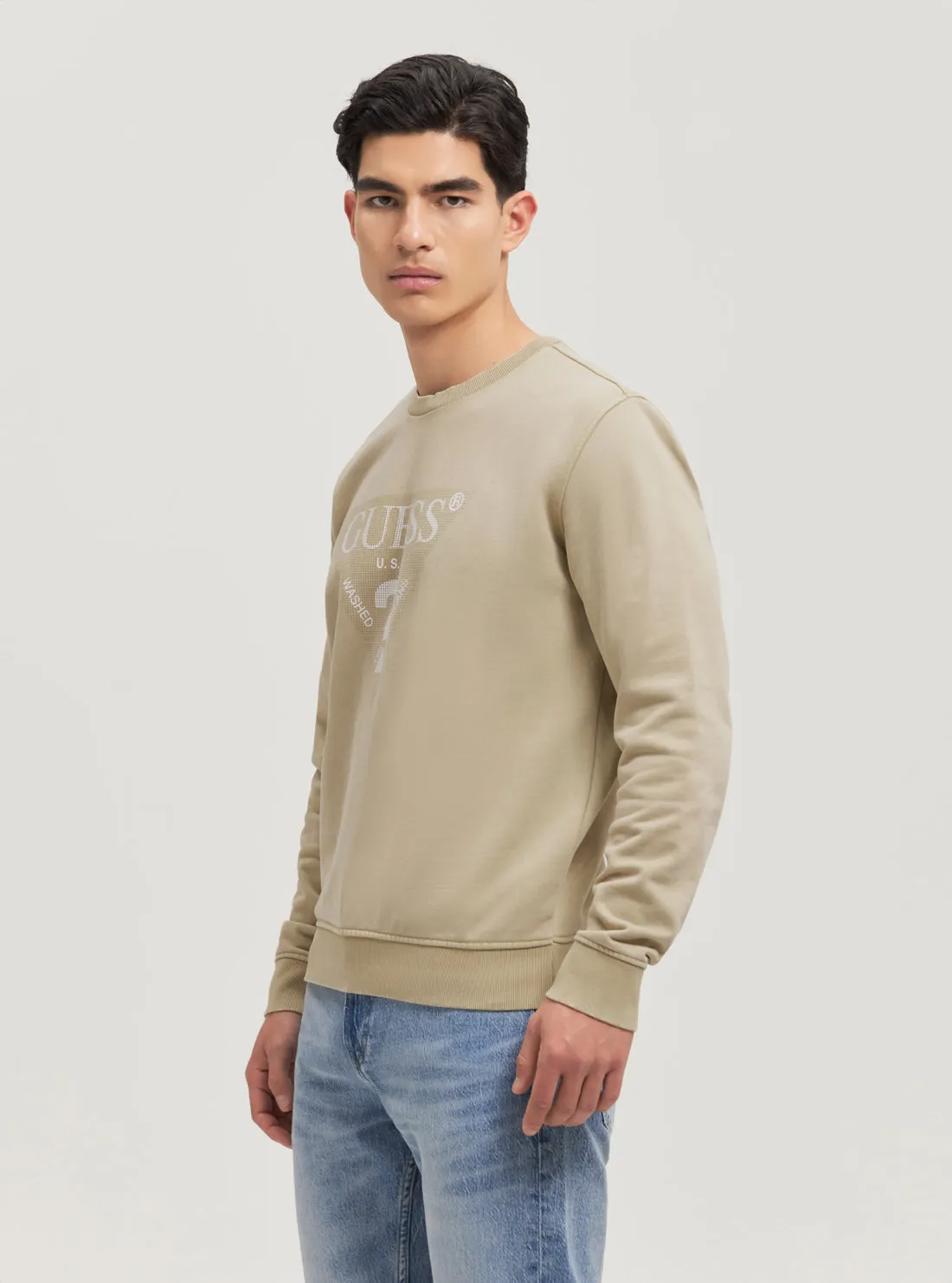 Eco Beige Triangle Logo Jumper Guess
