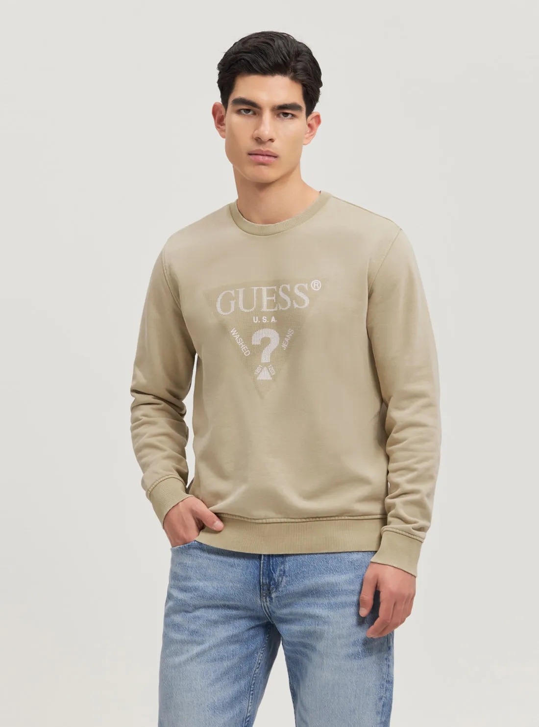 Eco Beige Triangle Logo Jumper Guess