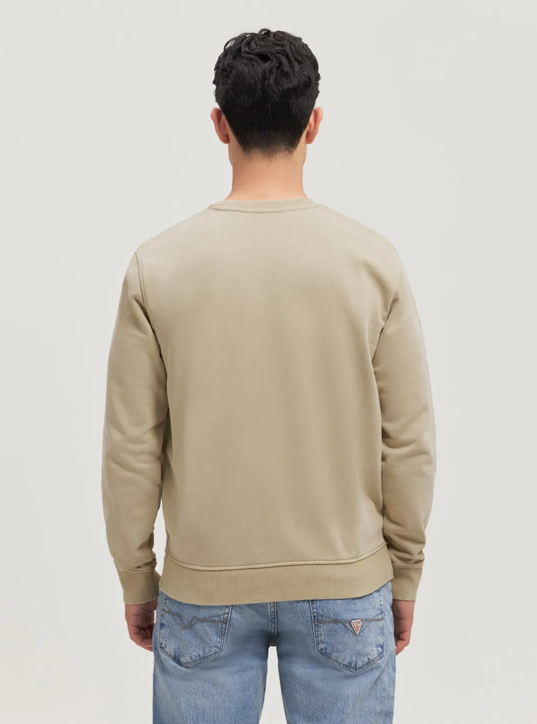 Eco Beige Triangle Logo Jumper Guess