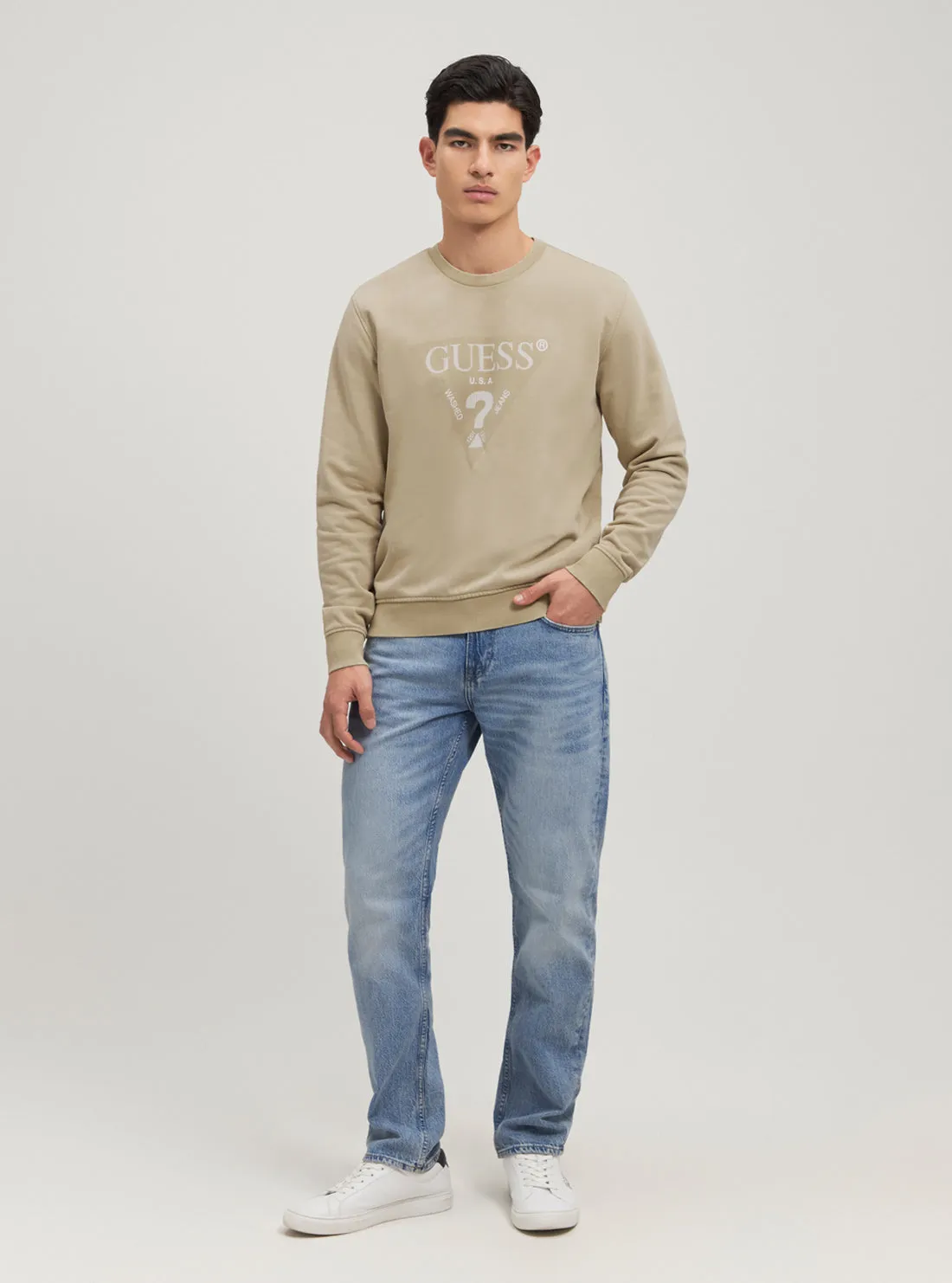 Eco Beige Triangle Logo Jumper Guess
