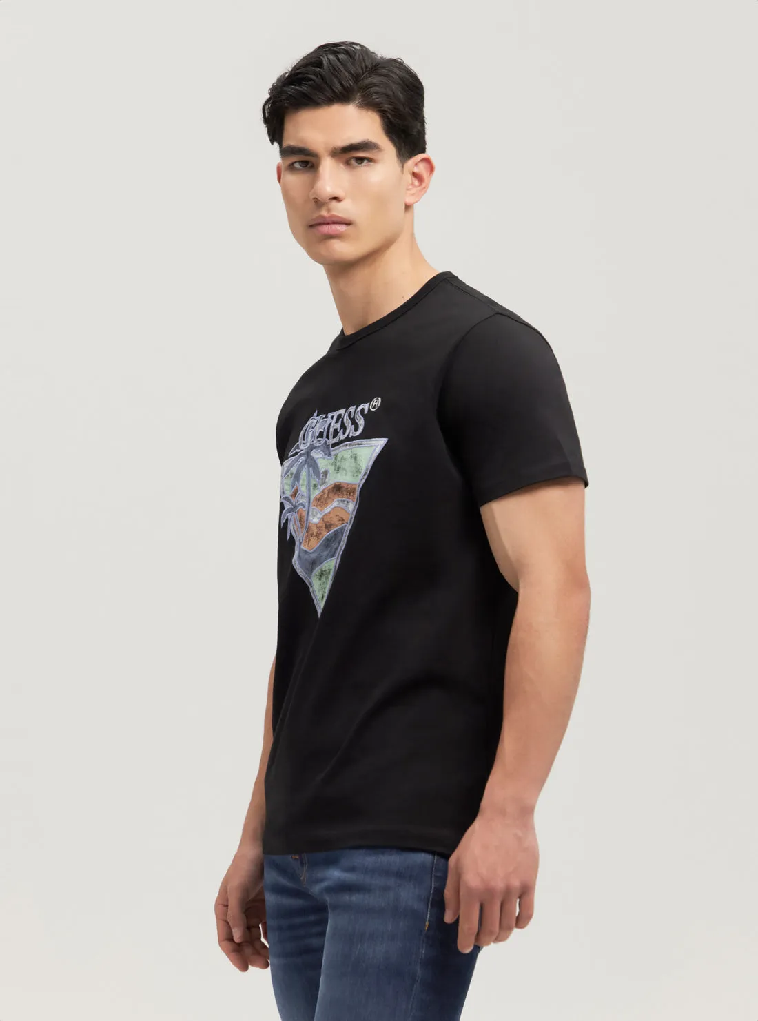 Eco Black Summer Triangle T-Shirt Guess