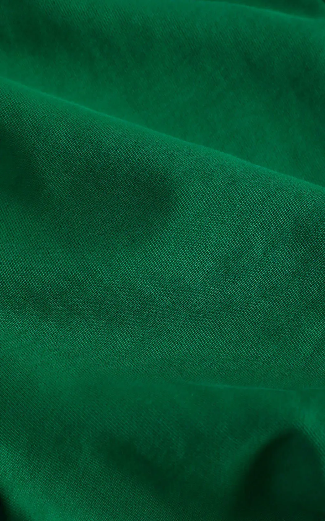 Frankie 100% Organic Cotton Sweatshorts - GREEN Frankie